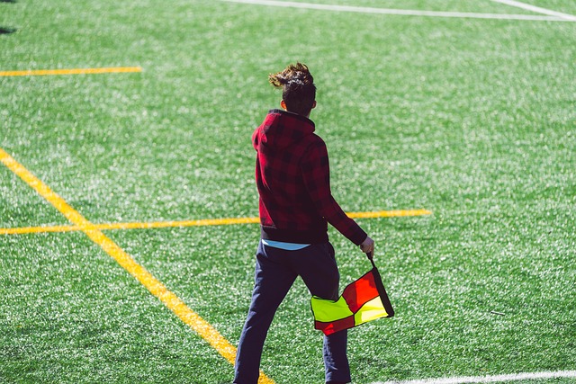 火箭队和湖 火箭队和湖