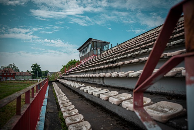 这支队伍以 这支队伍以