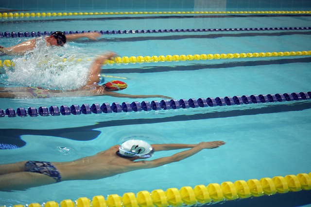 合理的情感 合理的情感