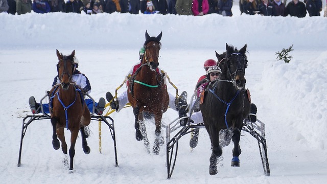 他所表现出 他所表现出