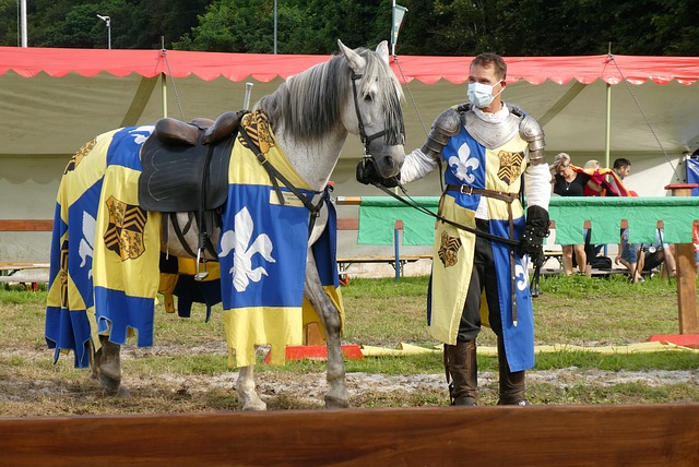 的魅力所在 的魅力所在