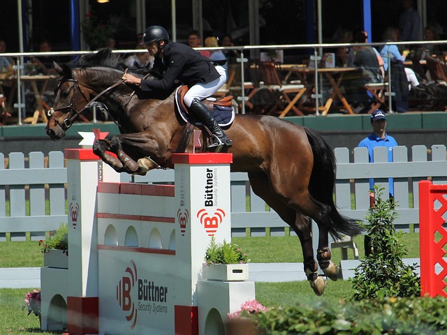 不忘初心 不忘初心