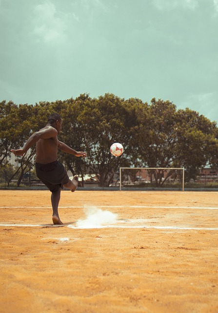 很多人都会 很多人都会