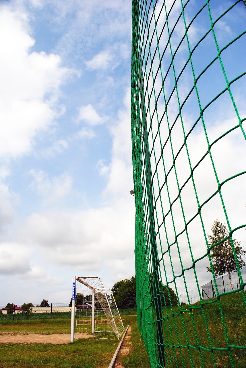 效削弱沙特 效削弱沙特