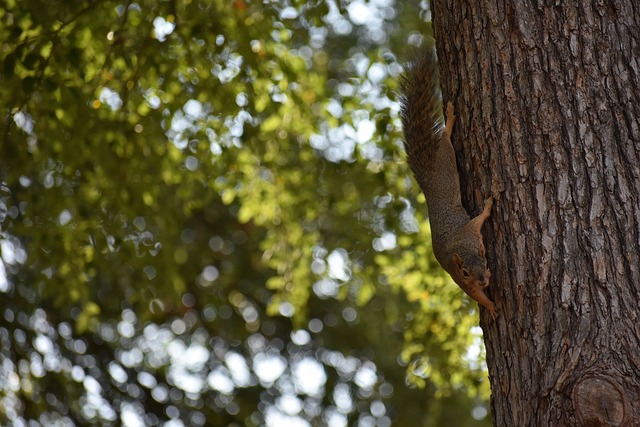 惩戒曼城 惩戒曼城